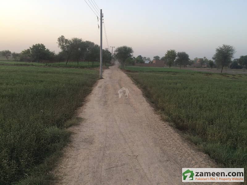 Farm House With 6 Acres Of Agricultural Land For Sale Multan ID3023273