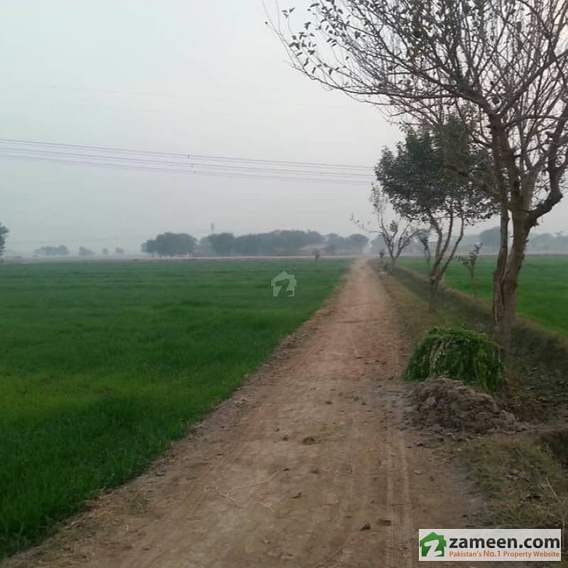 Agricultural Land For Sale Dunya Pur Road, Multan ID11729077