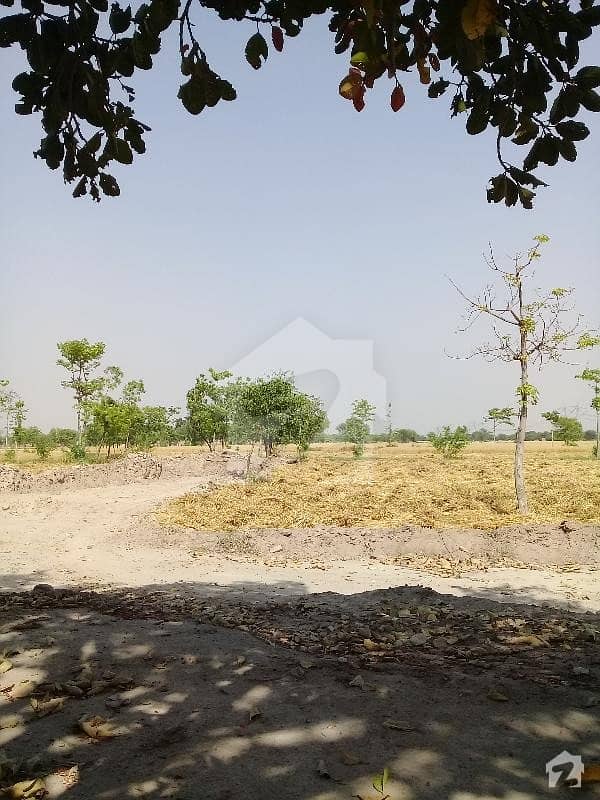 Agricultural Land Is Available For Sale Gulistan Homes, Khanewal Road