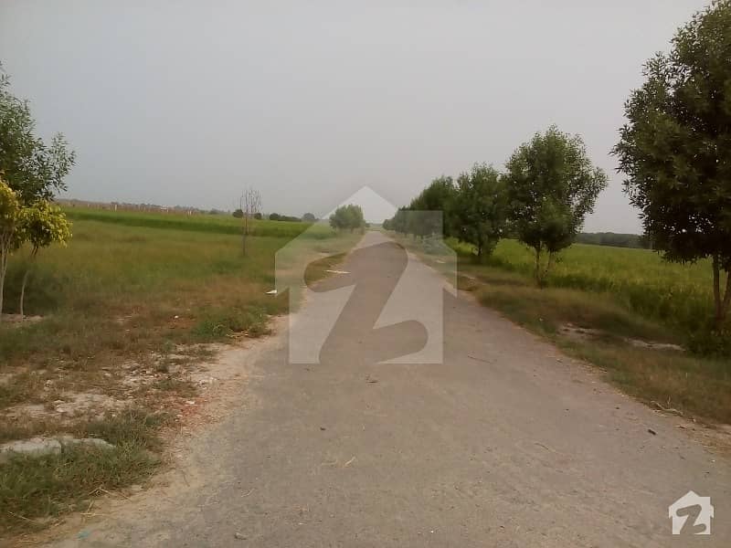 Dairy farm for rent Hudiara, Lahore ID12137198