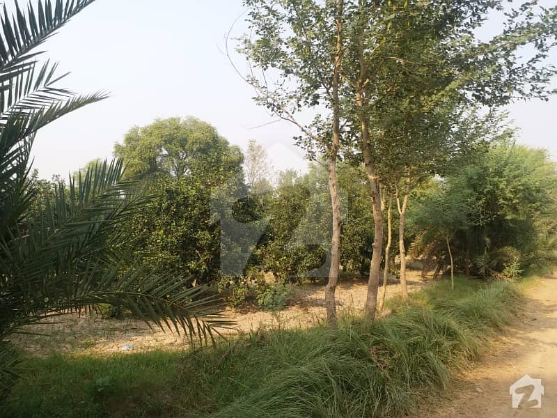 Agricultural Land Is Available For Sale Shahpur, Sargodha ID12980235