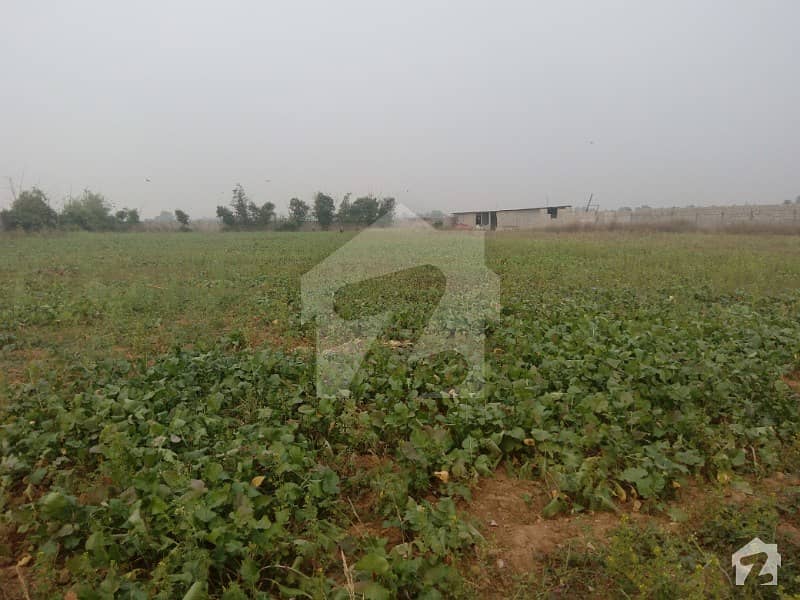 Agriculture Land For Rent In Chak Shahzad Farms Chak Shahzad, Islamabad