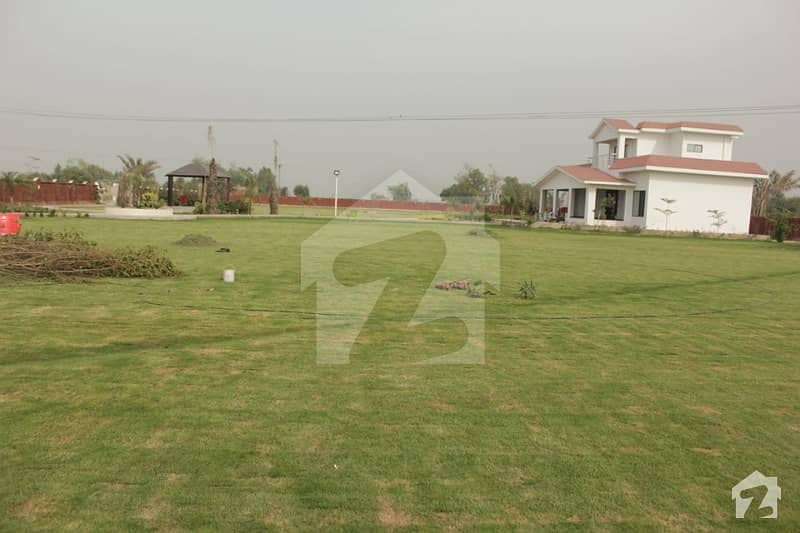 Chaudhary Farmhouse Plot For Sale On Installment Plan Near To Dha Barki