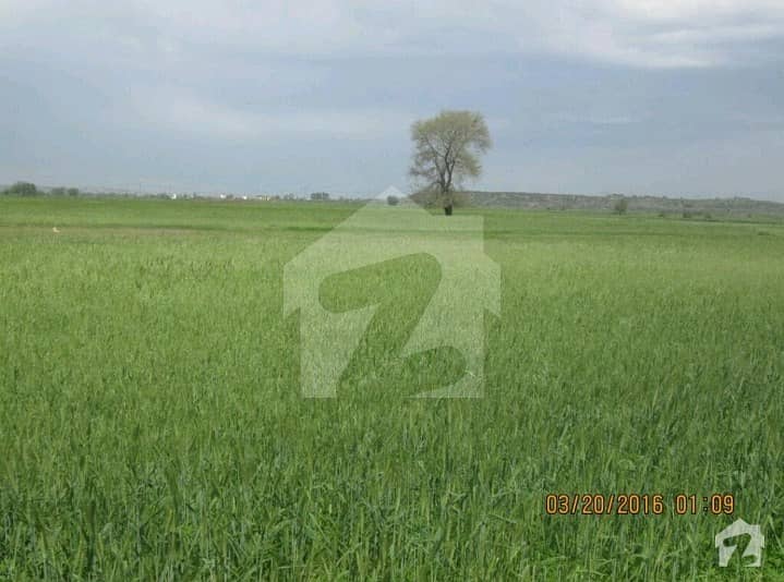 Land Is Available For Sale KasbeHalal Organic Farms, Bodial