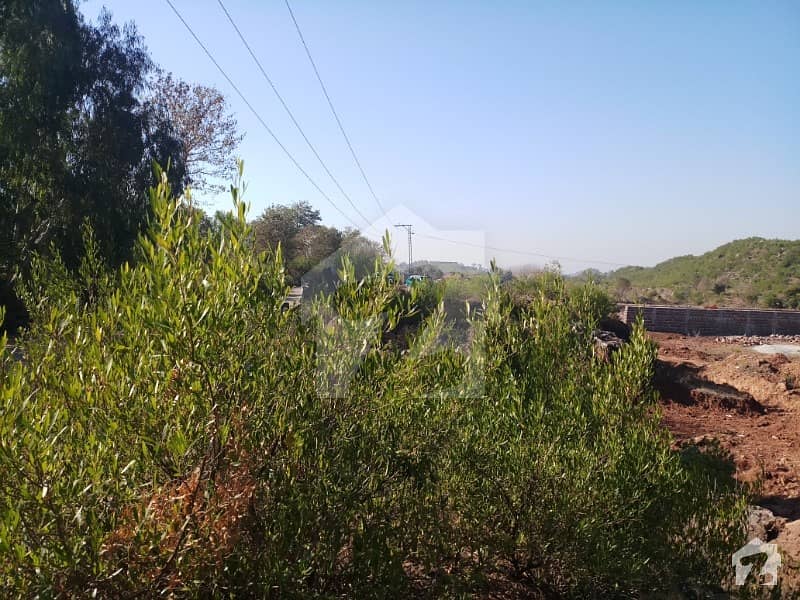 20 Kanal Land For Sale Boundary Wall On Main Jandala Road. Simly Dam