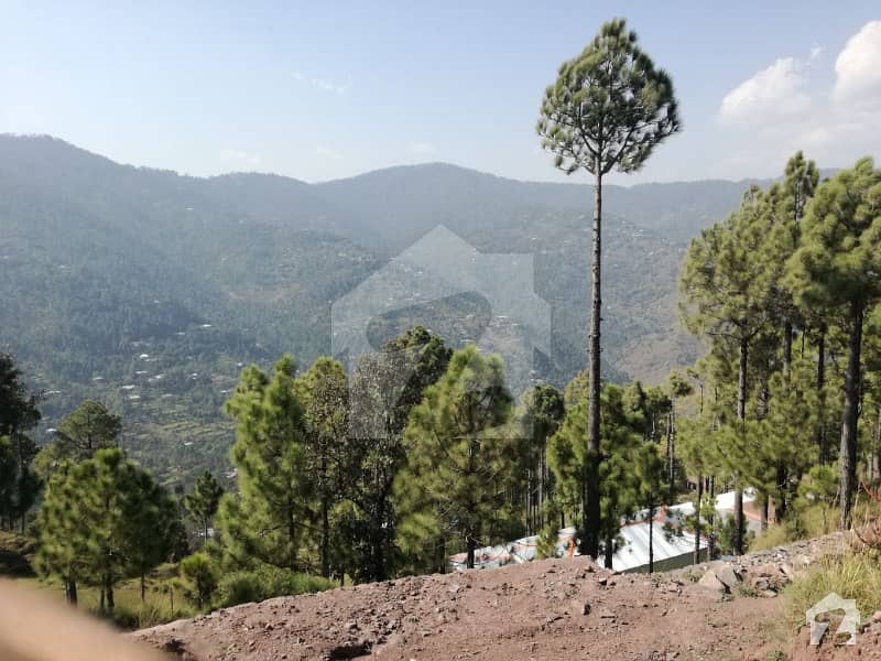 Voice Of Lal Real Estate Offer 5 Marla To 8 Marla Double Storey Huts