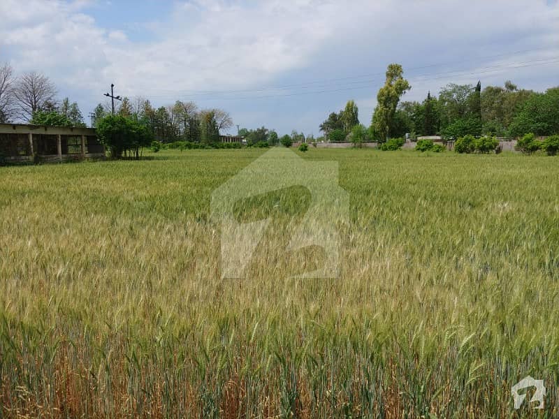 D12/2 Main Double Road Corner Plot For Sale With Hug Extra Land Size