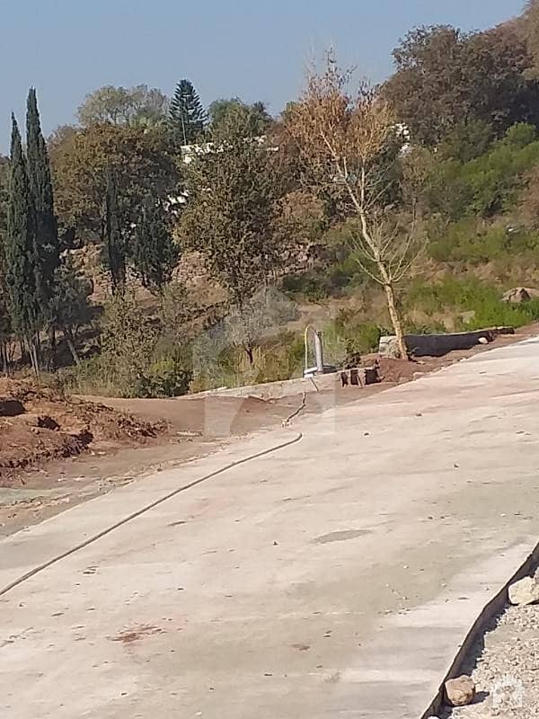 5 Marla Residential Plot For Sale In Bani Gala Bani Gala, Islamabad