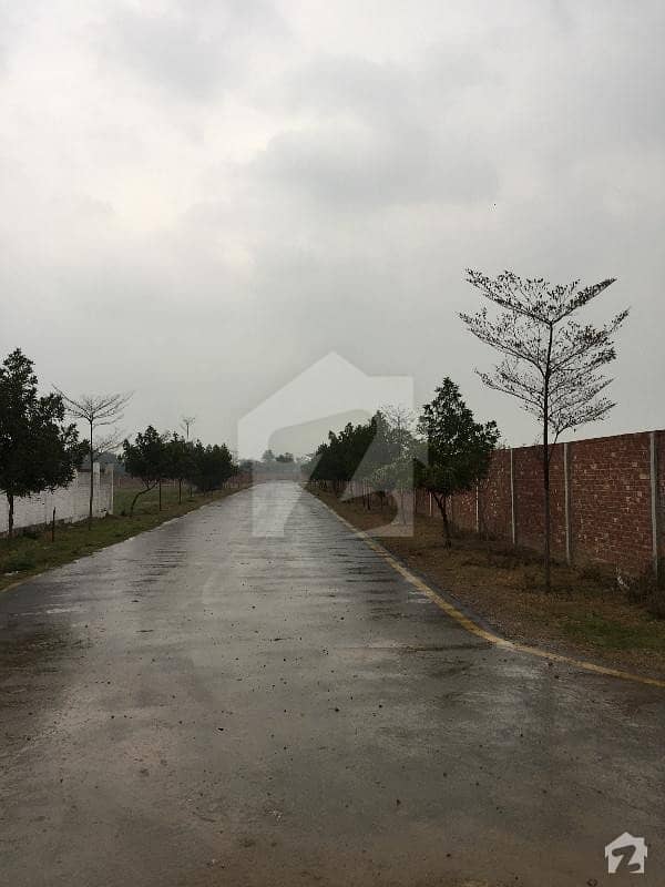 8 Kanal Agriculture Land For Sale on Barki Road Barki Road, Cantt