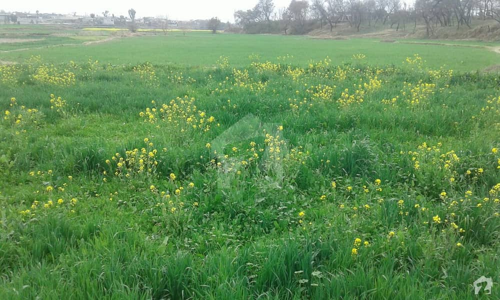 Near Jhari Kass Interchange Haripur Plot For Sale Haripur ID14883921