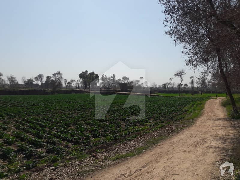 Commercial Land For Rent On Ring Road Peshawar Ring Road, Peshawar