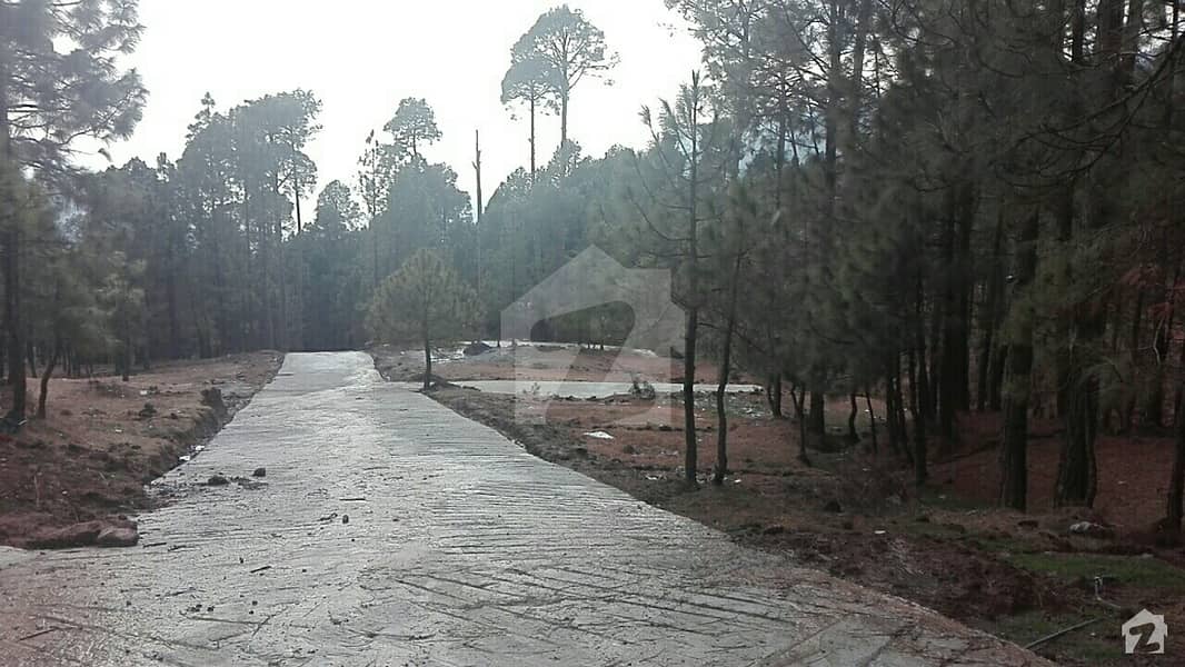 5 Kanal Plot For Sale At Khalabat Townships Haripur Khalabat Township