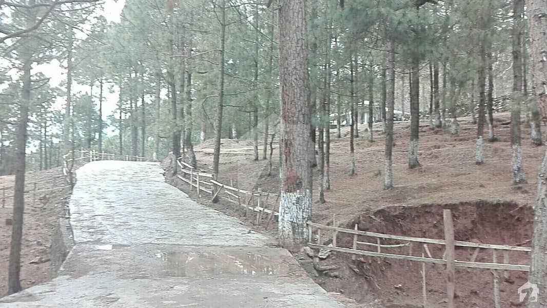 5 Kanal Plot For Sale At Khalabat Townships Haripur Khalabat Township