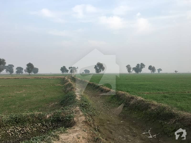 50 Acres Fully Irrigated Land For Sale Haroonabad Bahawalnagar Road