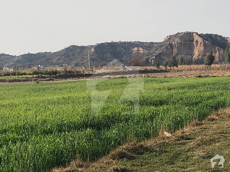 Farm House Land For Sale Rawalpindi Road, Chakwal ID16344745