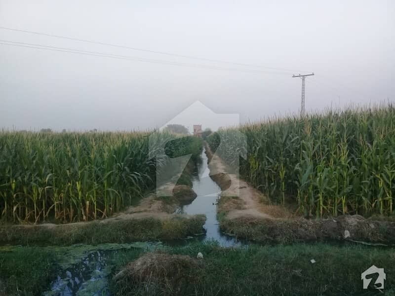 12.5 Acre Agricultural Land + 9 Hours Of Nehri Pani Okan Wala Road