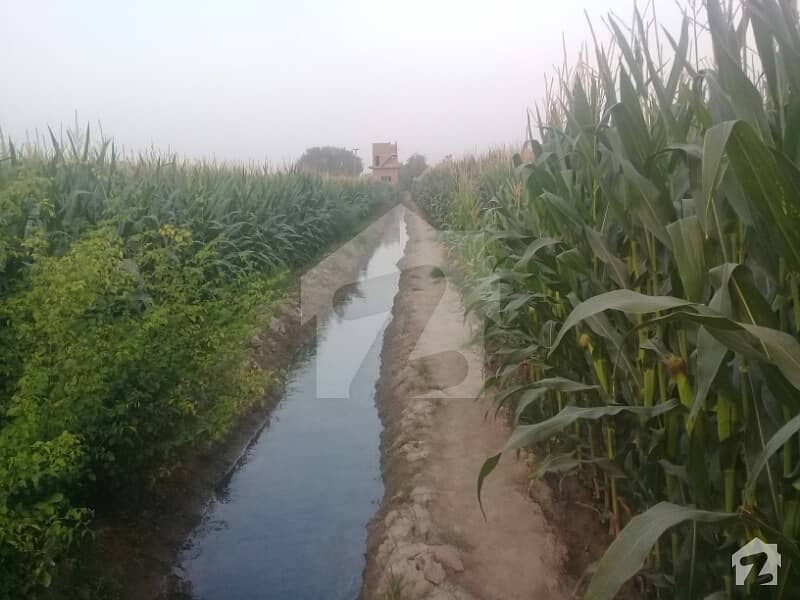 12.5 Acre Agricultural Land + 9 Hours Of Nehri Pani Okan Wala Road