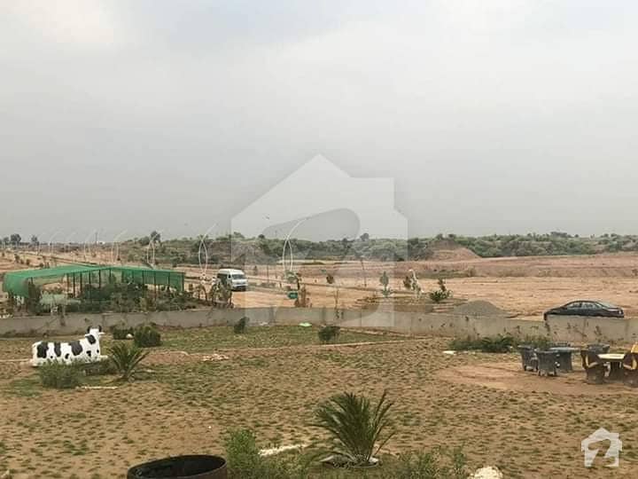 Green Oaks Farm Houses Land For Sale Chakri Motorway Islamabad Chakri Road Ideal Location Green
