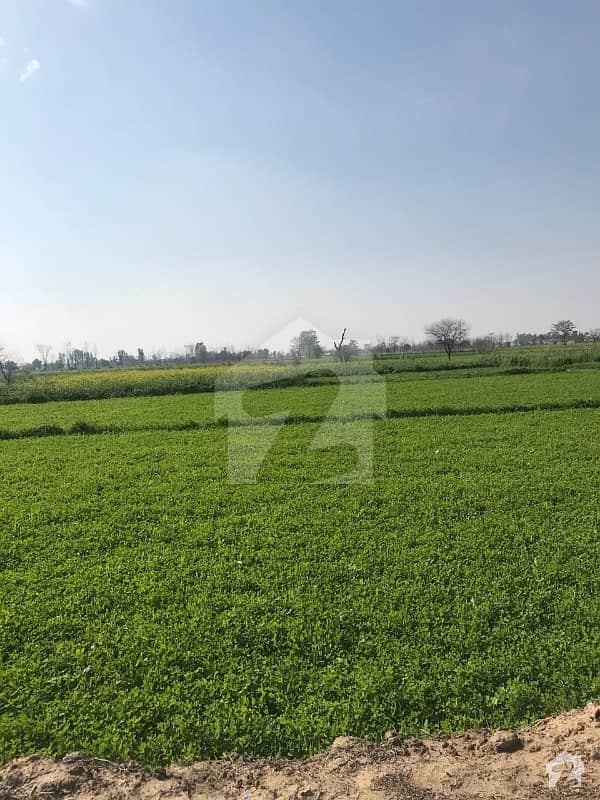 Agricultural Land Is Available For Sale Ferozepur Road, Lahore