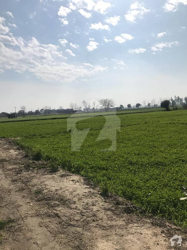 Agricultural Land Is Available For Sale Ferozepur Road, Lahore