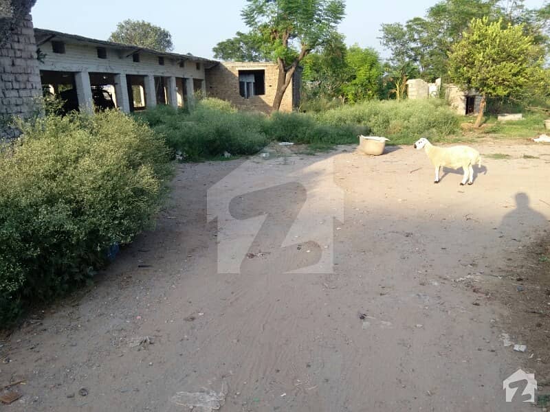 Farm House Is Available For Rent Tarlai, Islamabad ID17262270