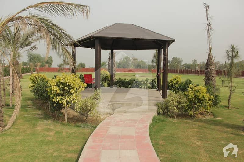 Chaudhary Farmhouse Plot For Sale Near To Dha Phase 7 Barki Road, Cantt