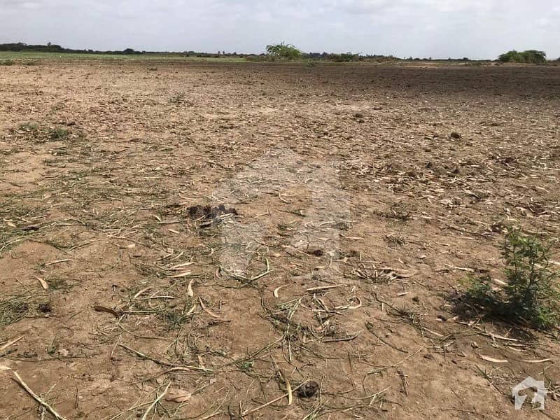 6 Acre Agricultural Land For Sale 210000 Per Acre Satellite Town, Keti