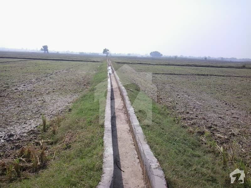 Agricultural Land For Sale In Village Gunj Sundwan Lahore QuaideAzam