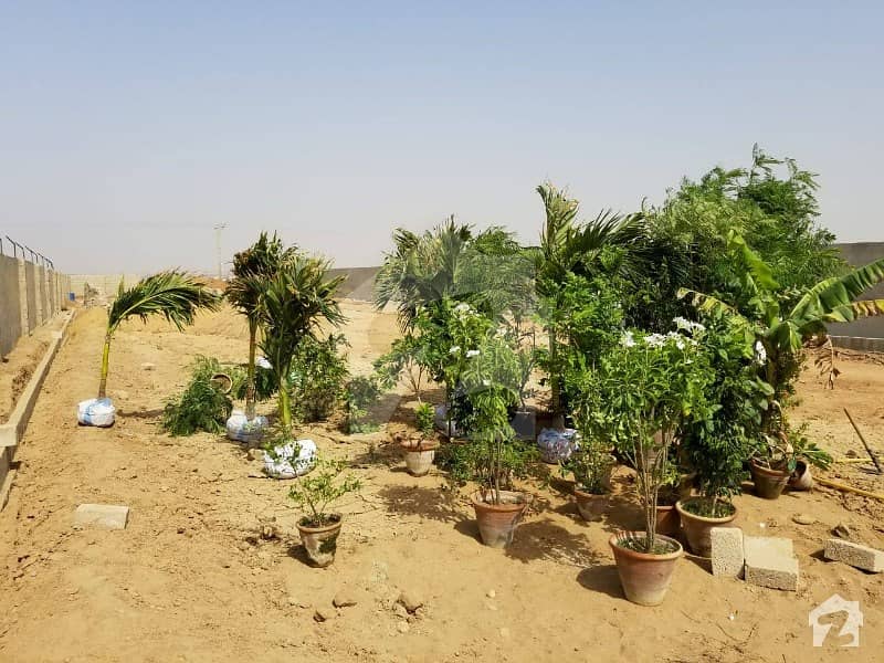 Agriculture Farm House Land On Installments Super Highway Karachi