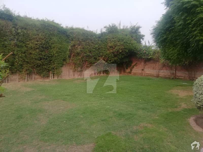 Farm House Is Available For Sale Raiwind Road, Lahore ID18549328