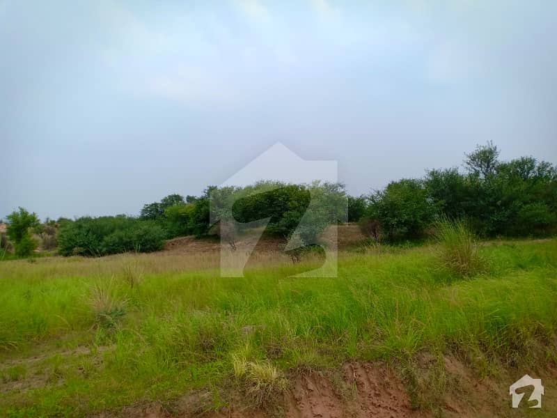 Fertile land available on Chakri Link Road on Investor Rate Chakri