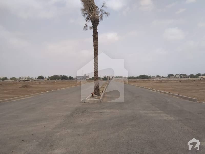 120 Sq Yards Plot Qasimabad The City Developed By Punjabi Saudagar