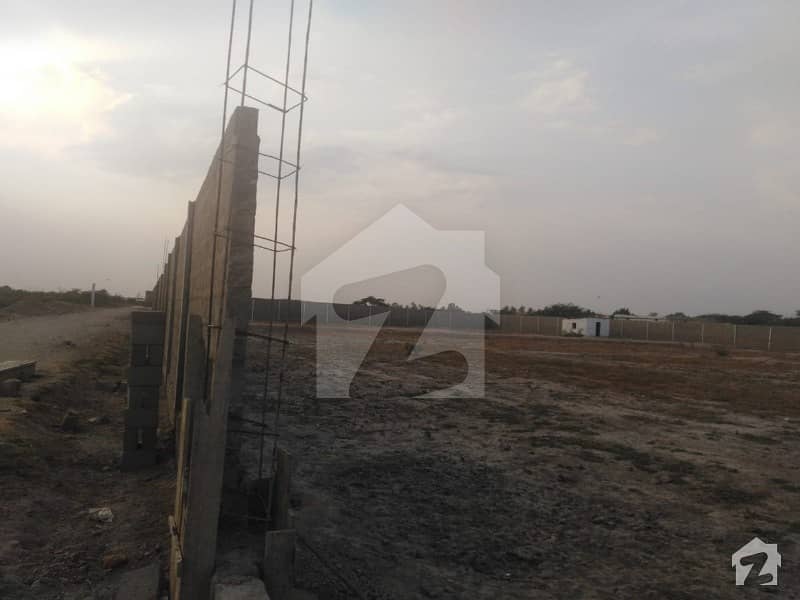 1000 Sq Yd Plot Is Available For Sale For Dairy Cattle Farm Houses