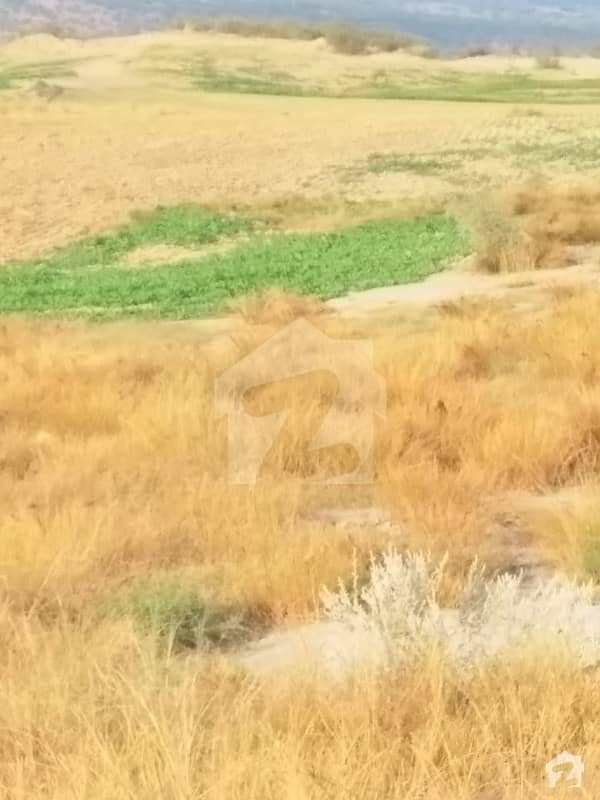 1017 Kanal Agricultural Land For Sale Pindi Ghaib Pindigheb, Attock