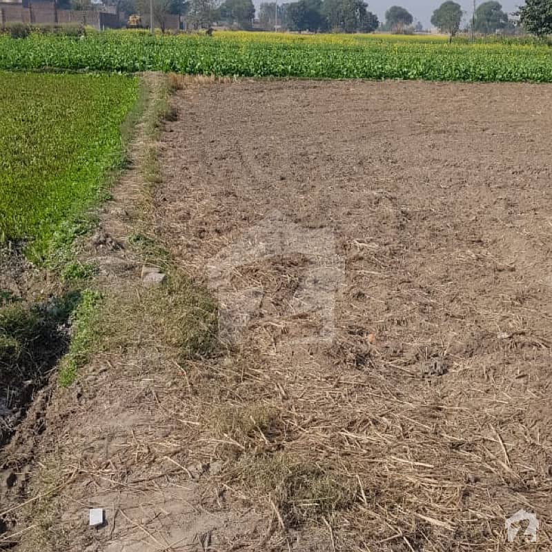 Agriculture Land Near Main Lahore Sargodha Road Near To Grid Station