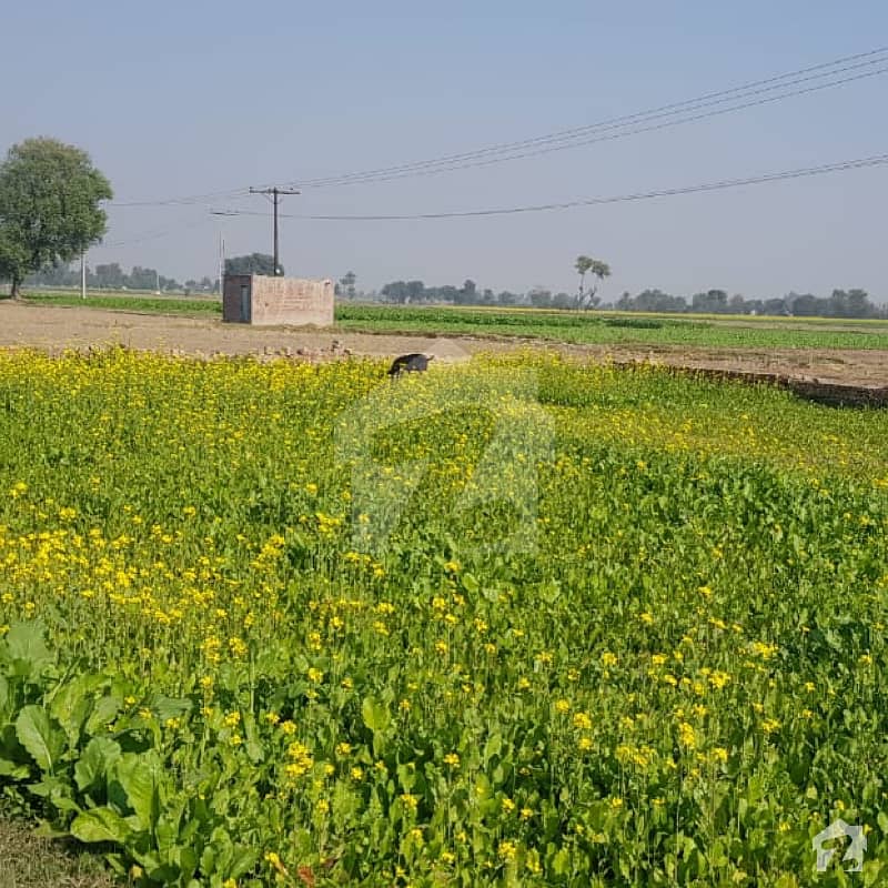 Agriculture Land Near Main Lahore Sargodha Road Near To Grid Station