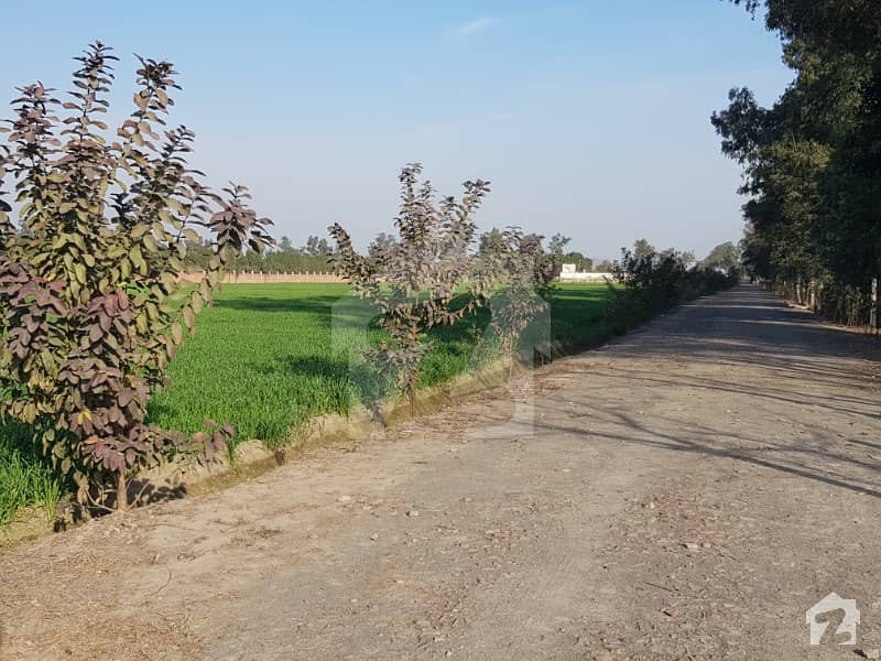 1 Acre Agricultural Land Is Available For Sale In Bedian Road Bedian