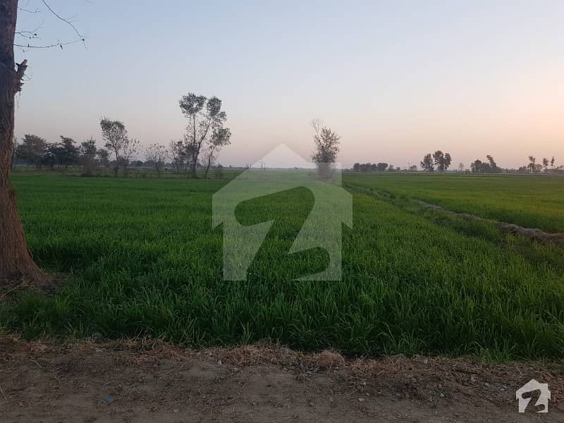 1 Acre Agricultural Land Is Available For Sale In Barki Road Barki Road
