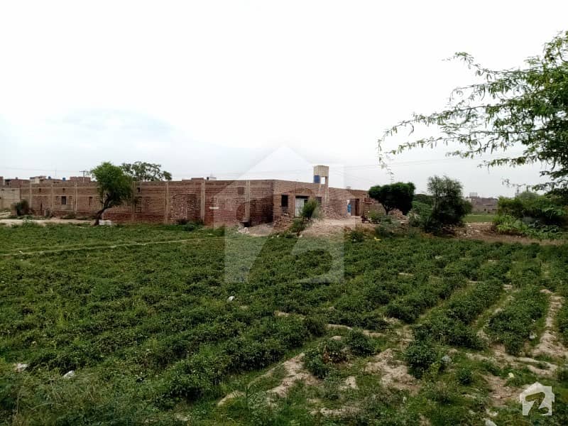 Agriculture Land Is Available For Sale Others, Faisalabad ID20469606