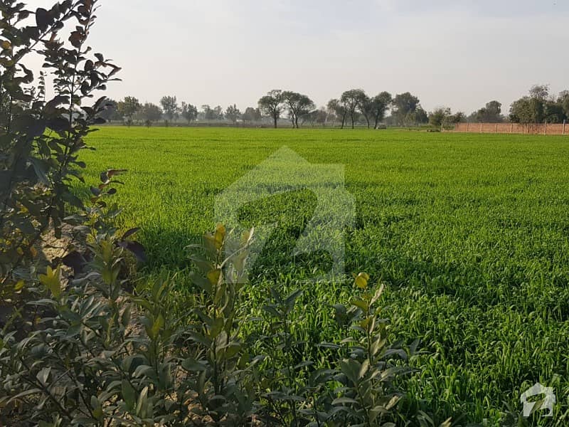 1 Acre Agricultural Land Is Available For Sale In Kasur Road Lahore