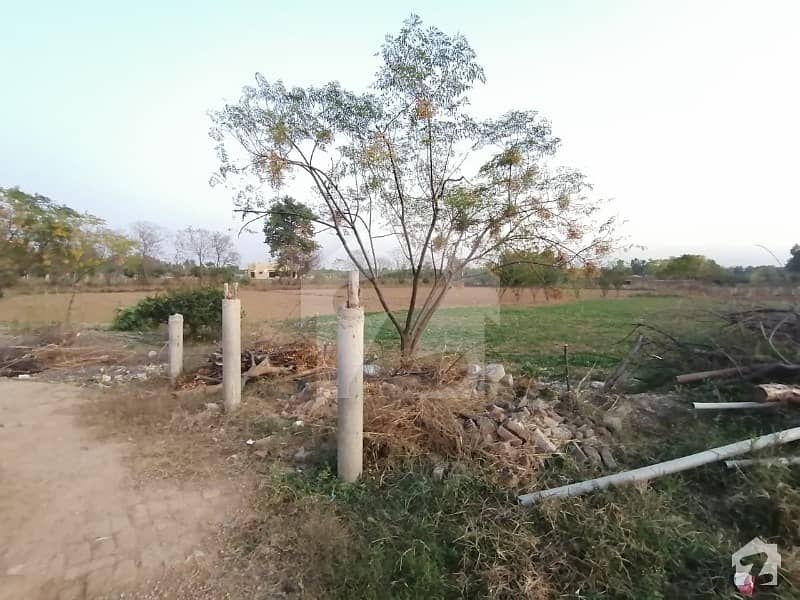 Agriculture Land For Sale In Shahpur Dam Fateh Jang Shahpur Dam, Fateh