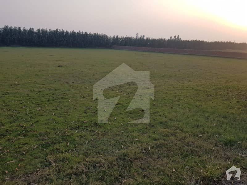 4 Kanal Farm House Land Available For Sale On Barki Road Barki Road