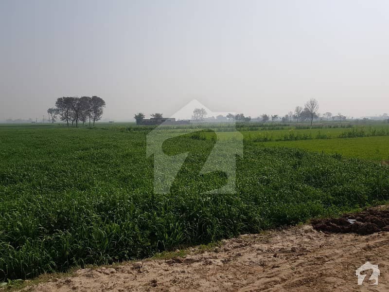 20 Acre Agricultural Land Is Available For Sale In Bedian Road Bedian