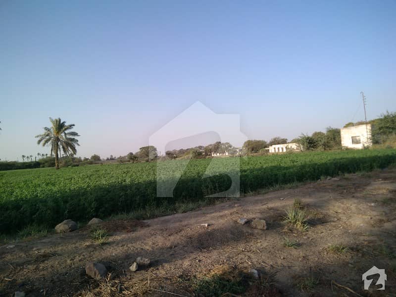 Survey Agricultural Land 60 Acre Chance Deal In Memon Goth Memon Goth