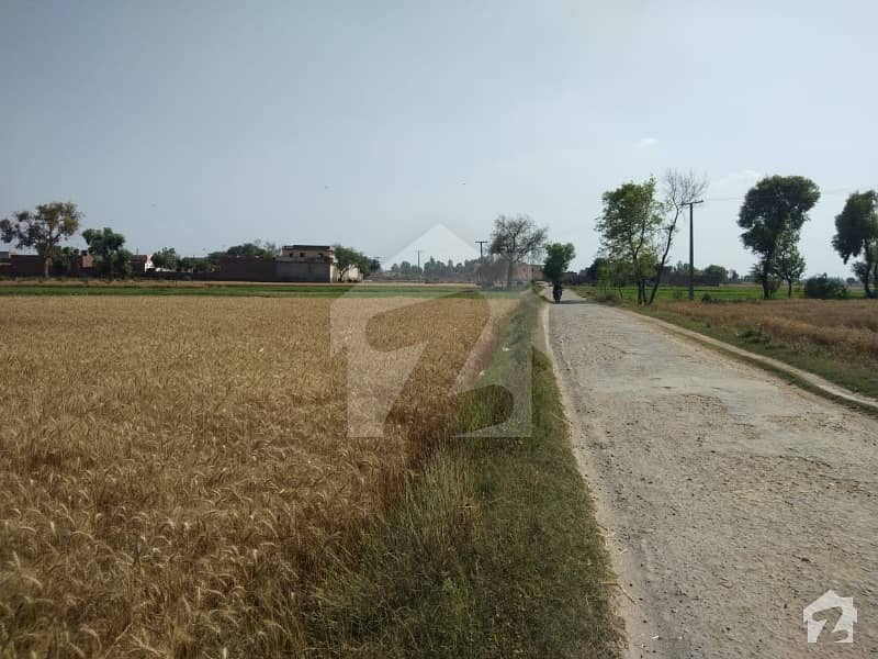 60 Acre Land For Sale For Society At Main Ferozepur Road Ferozepur Road