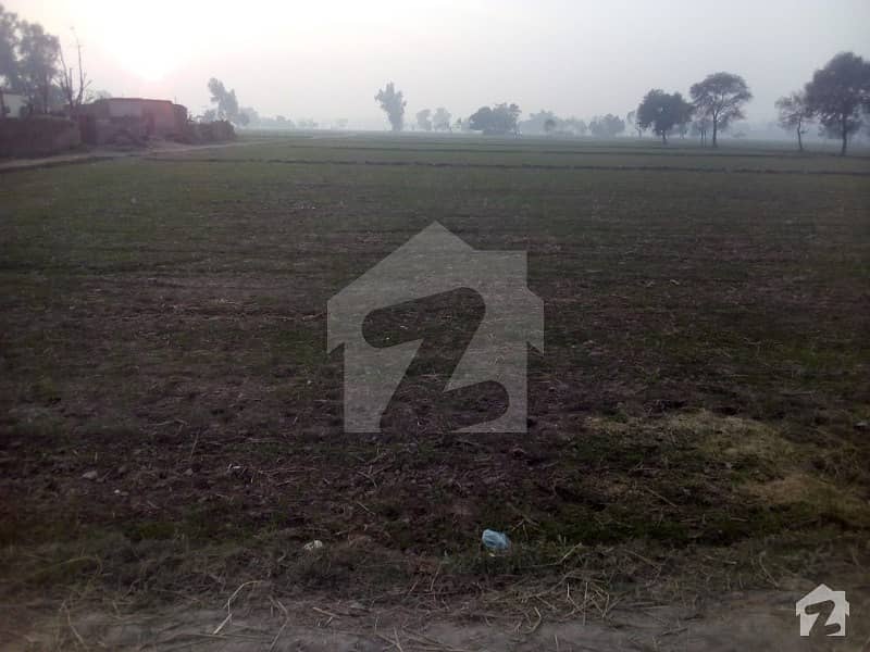 Agricultural Land Available For Sale Kala Khatai Road, Lahore