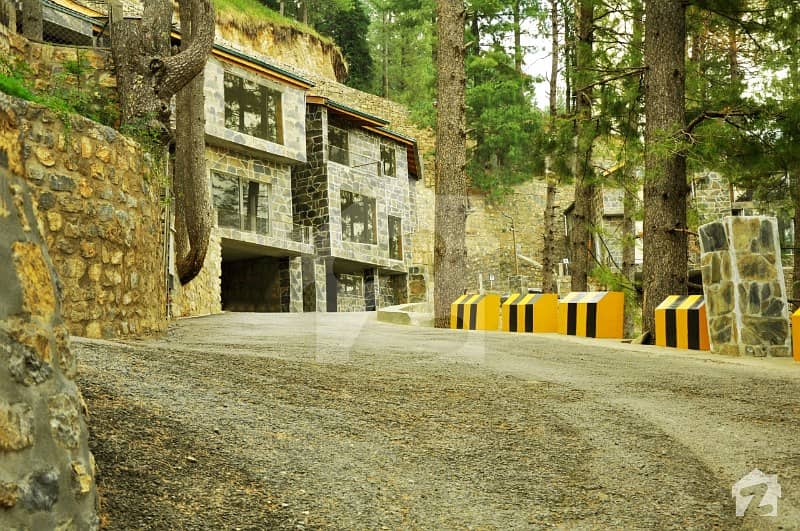 Blue Pine Mountain Homes For Sale Serenity Hilltop Homes, Khaira Gali