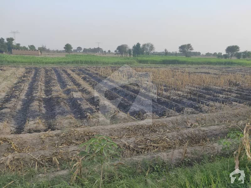 10 Acres Fertile Land For Sale Pakpattan Bypass, Pakpattan ID23554723