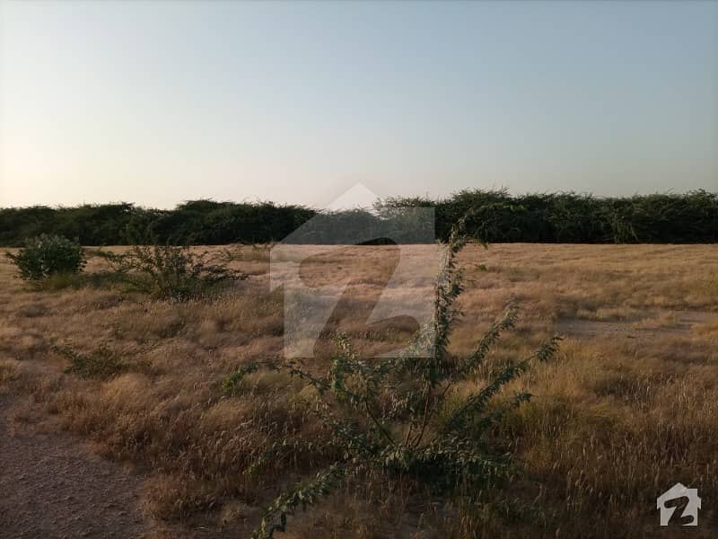 Stunning 217800 Square Feet Agricultural Land In Northern Bypass