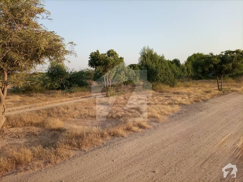 Stunning 217800 Square Feet Agricultural Land In Northern Bypass